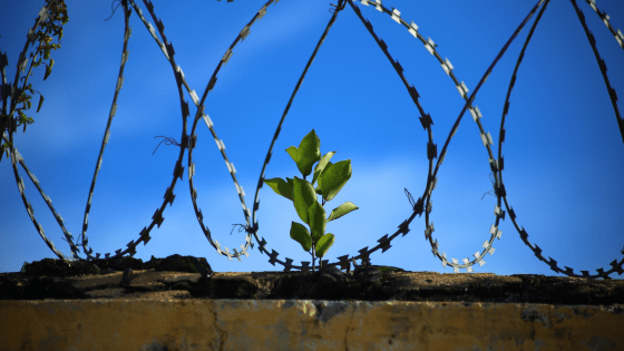 curso trabajo social penitenciario
