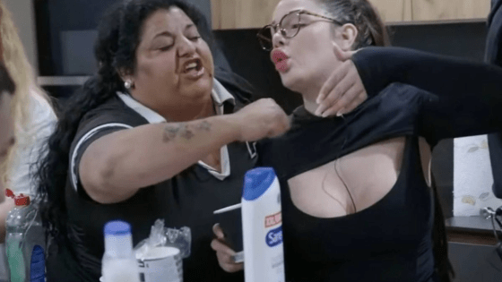 casa gemelos dignidad personas